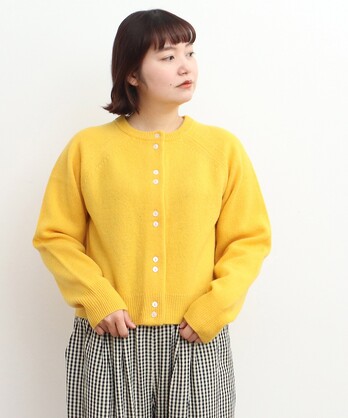 ��2/15�����E�[�� 2�t�J�[�f�B�K��